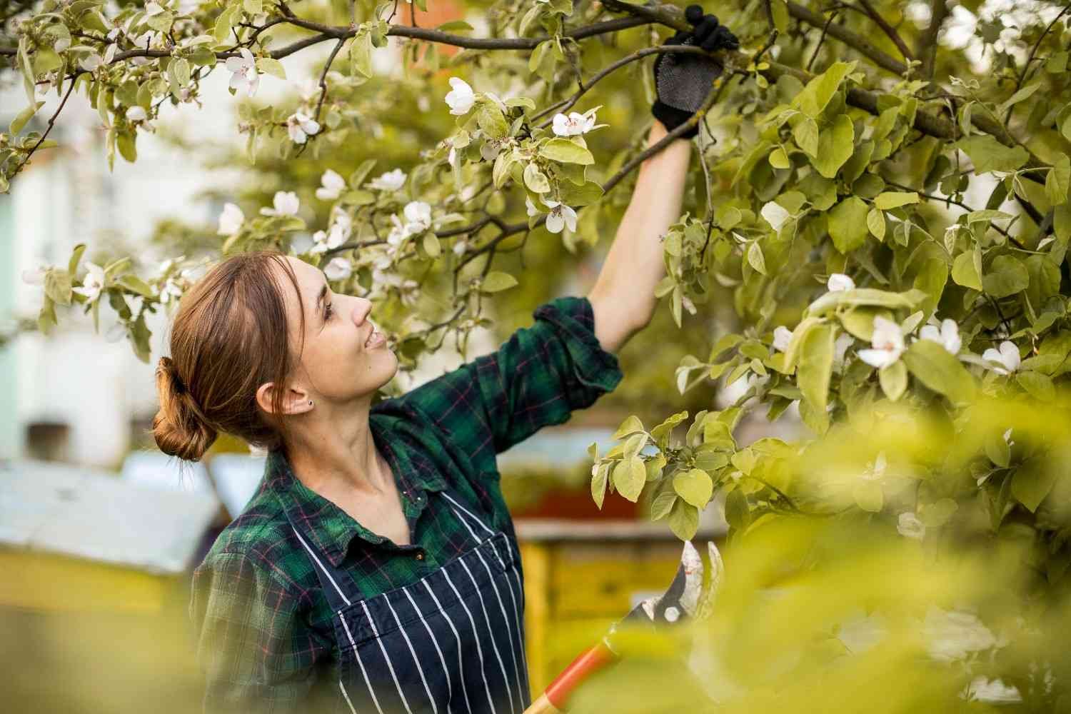 Over-Pruning the Canopy
